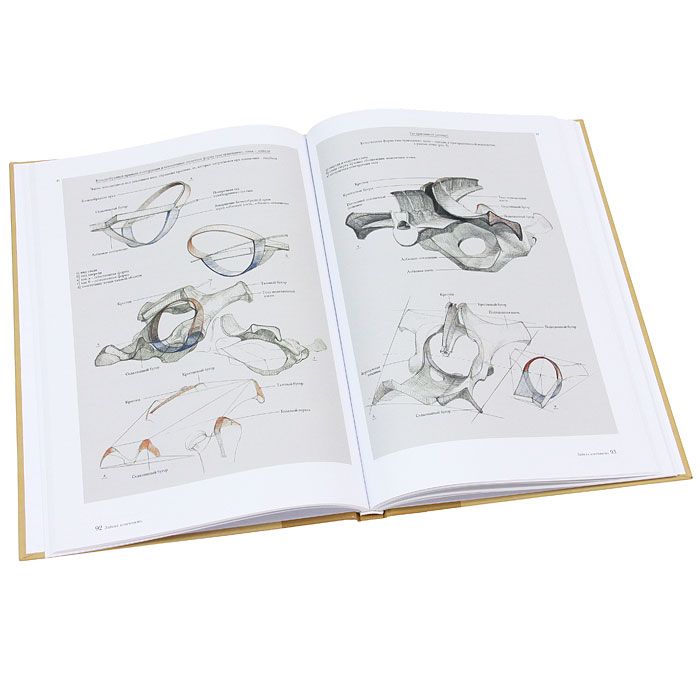 Баммес Образ Человека Купить Книгу