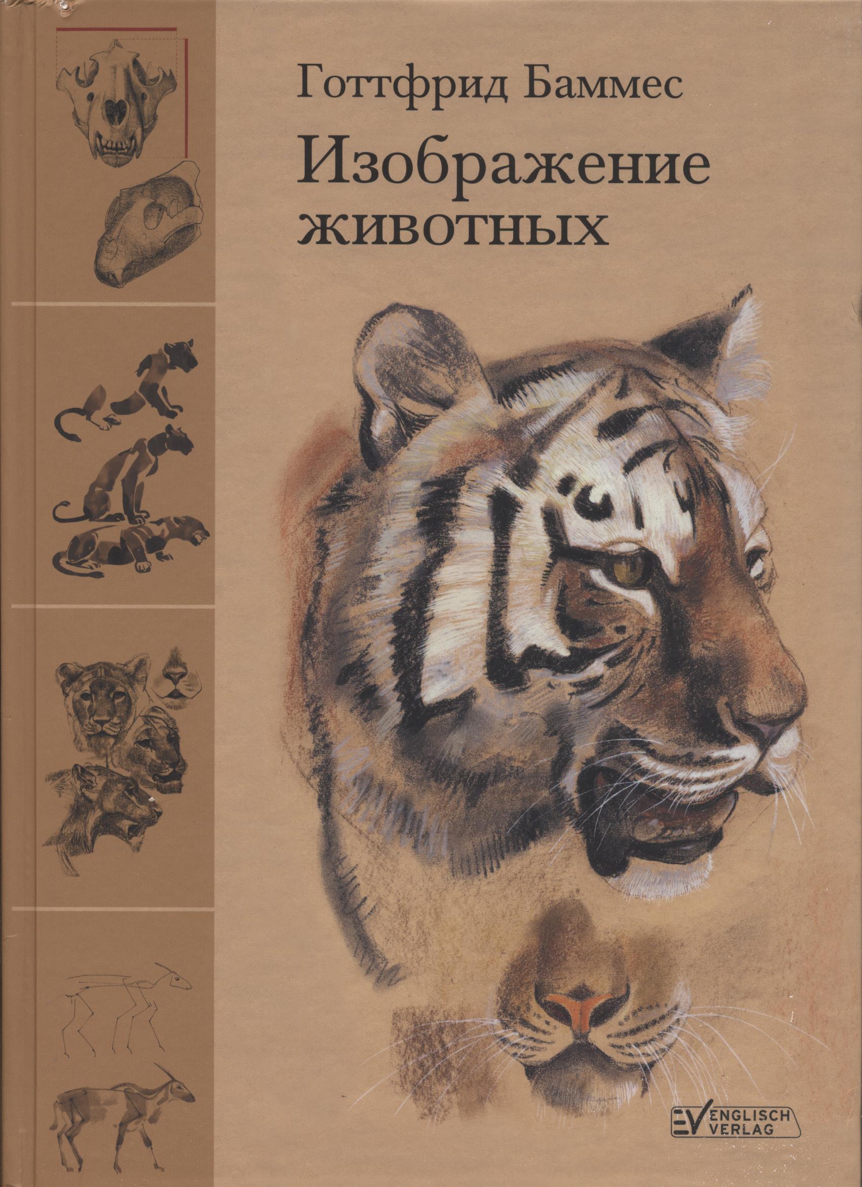 Баммес Образ Человека Купить Книгу
