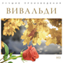Увеличить изображение
