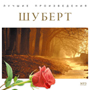 Увеличить изображение