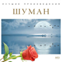 Увеличить изображение