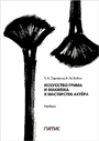 Увеличить изображение